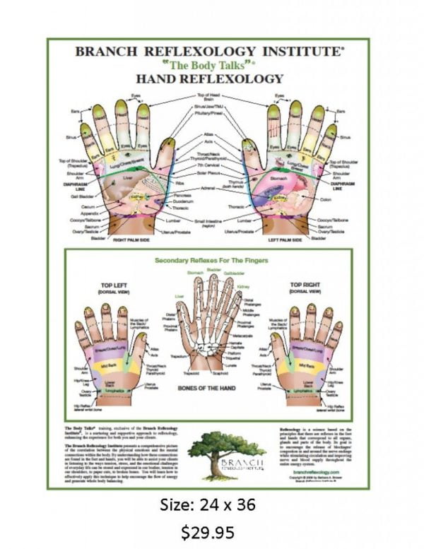 Hand Reflexology Wall Chart – Branch Reflexology Institute